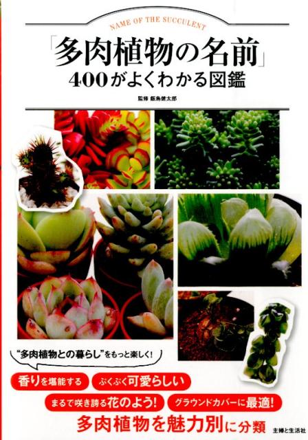 「多肉植物の名前」400がよくわかる図鑑 [ 飯島健太郎 ]