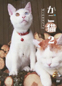 ����ǭ2 �ܤ��Τ��������