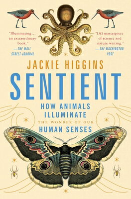 Sentient: How Animals Illuminate the Wonder of Our Human Senses SENTIENT [ Jackie Higgins ]