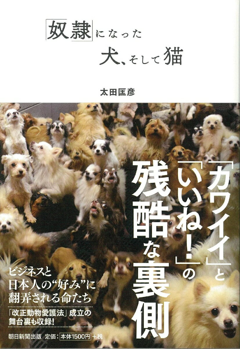 「奴隷」になった犬、そして猫