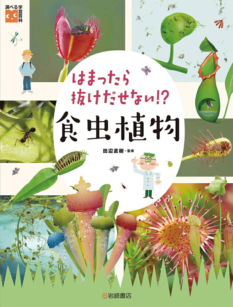 はまったら抜けだせない！？ 食虫植物