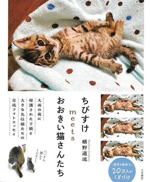 【バーゲン本】ちびすけmeetsおおきい猫さんたち