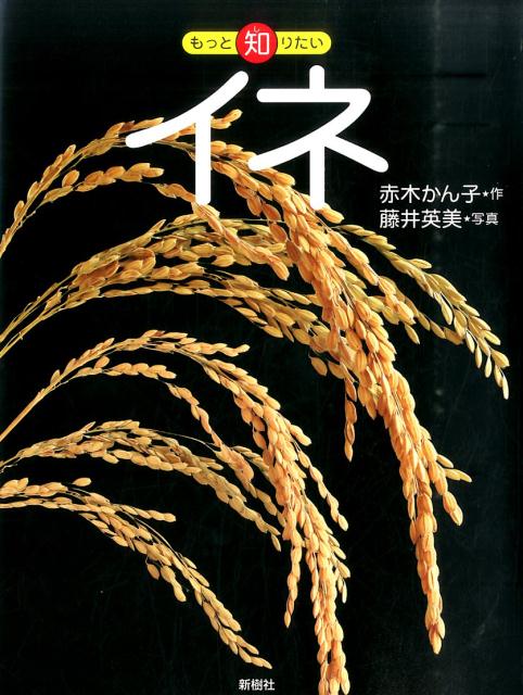 イネ