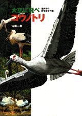 大空に飛べコウノトリ