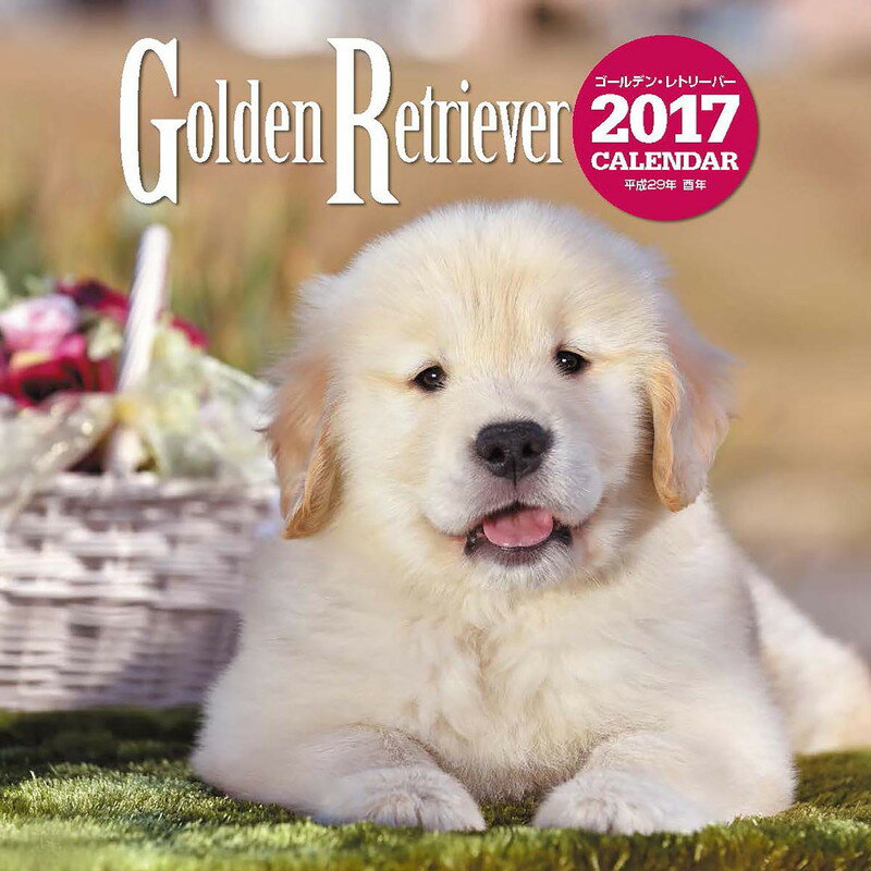 2017ǯ��Ƚ�������� ������ǥ󡦥�ȥ꡼�С�