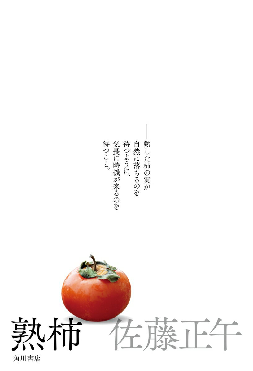 熟柿 [ 佐藤　正午 ]のサムネイル