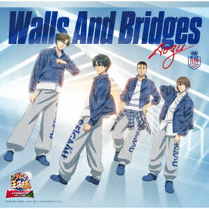Walls And Bridges