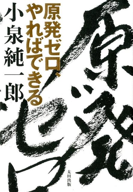 原発ゼロ、やればできる