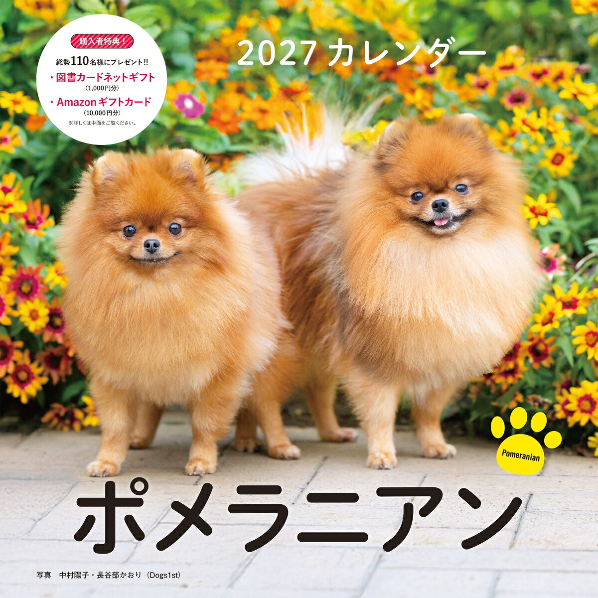 2027年カレンダー ポメラニアン （誠文堂新光社カレンダー） [ 中村 陽子・長谷部 かおり（Dogs1st） ]
