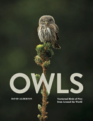 Owls: Nocturnal Birds of Prey from Around the World