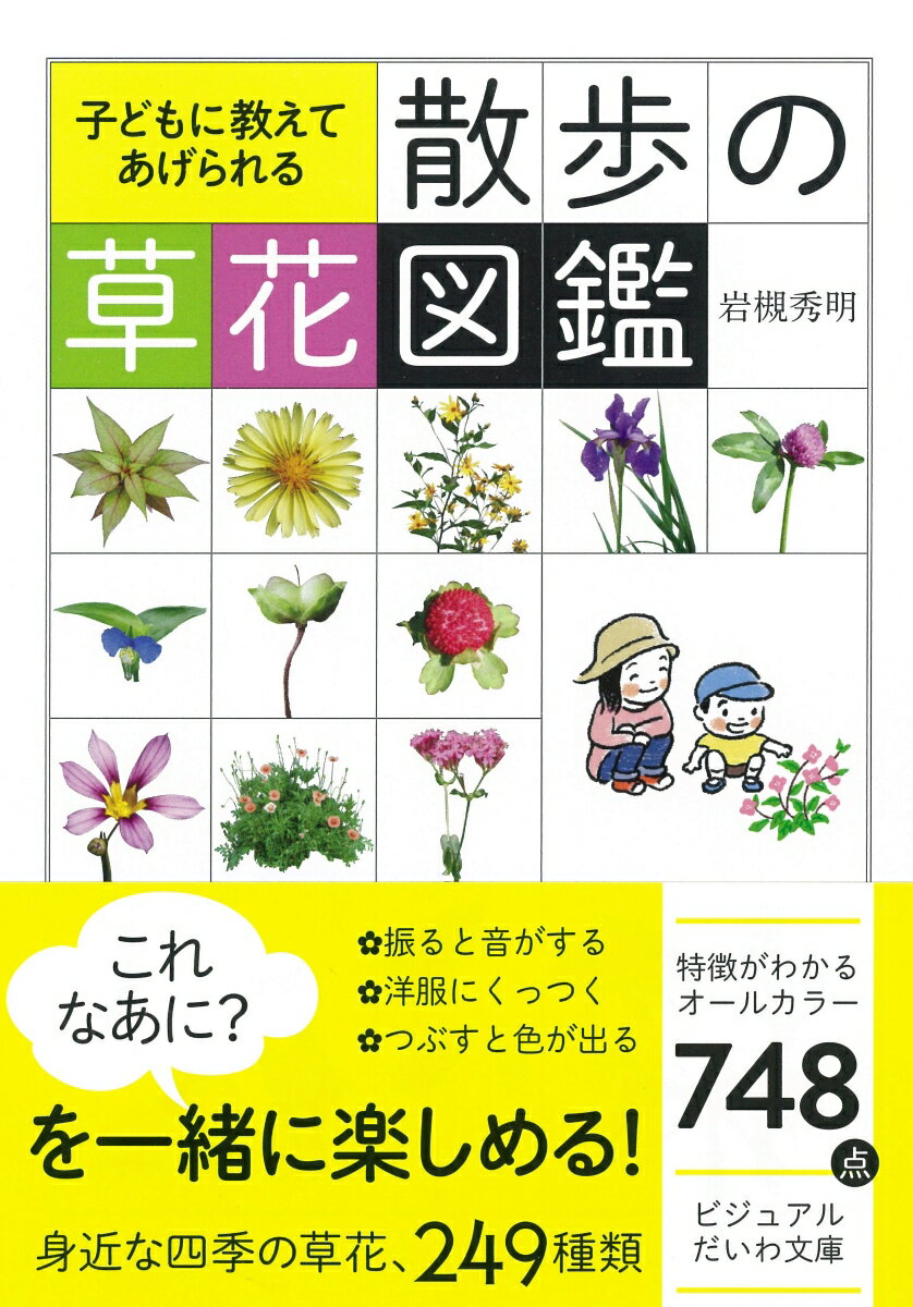 散歩の草花図鑑 子どもに教えてあげられる ビジュアルだいわ文庫 [ 岩槻秀明 ]