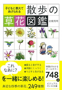 散歩の草花図鑑 子どもに教えてあげられる （ビジュアルだいわ文庫） [ 岩槻秀明 ]