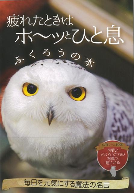 【バーゲン本】疲れたときはホ〜ッとひと息ふくろうの本