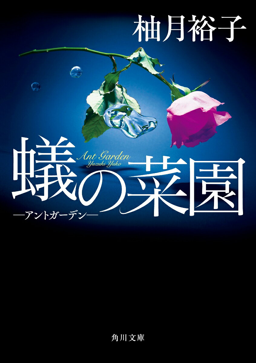 結婚詐欺容疑で介護士の冬香が逮捕された。婚活サイトで知り合った複数の男性が亡くなっていたのだ。美貌の冬香に関心を抱いたライターの由美が事件を追うと、冬香の意外な過去と素顔が明らかになり……。