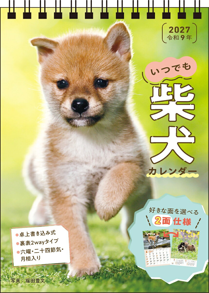 2027いつでも柴犬カレンダー卓上...