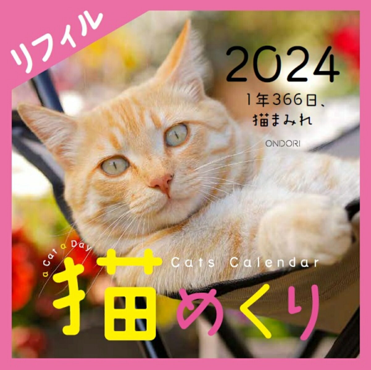 Cats Calendar 猫めくり リフィル2024