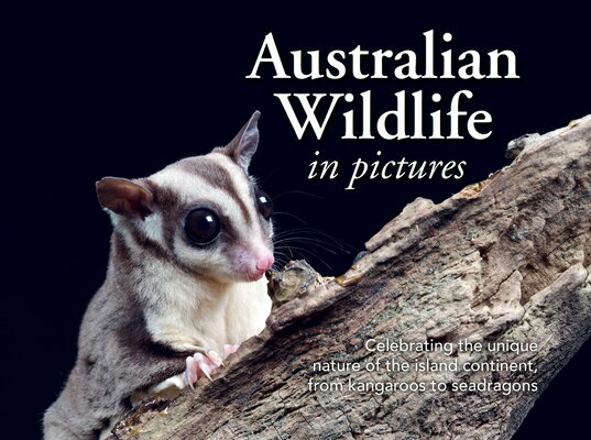 Australian Wildlife in Picture: Celebrating the Unique Nature of Island Continent, from Kangaroo PICT [ New Holland Publishers ]