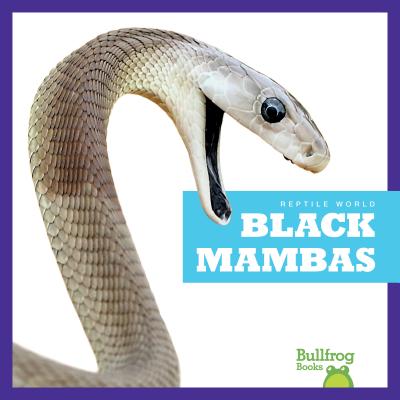 Black Mambas BLACK MAMBAS （Reptiles） 