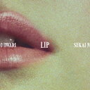 Lip (通常盤) 