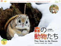 太田達也セレクション森の動物たちTiny Story in the Forest（2021）