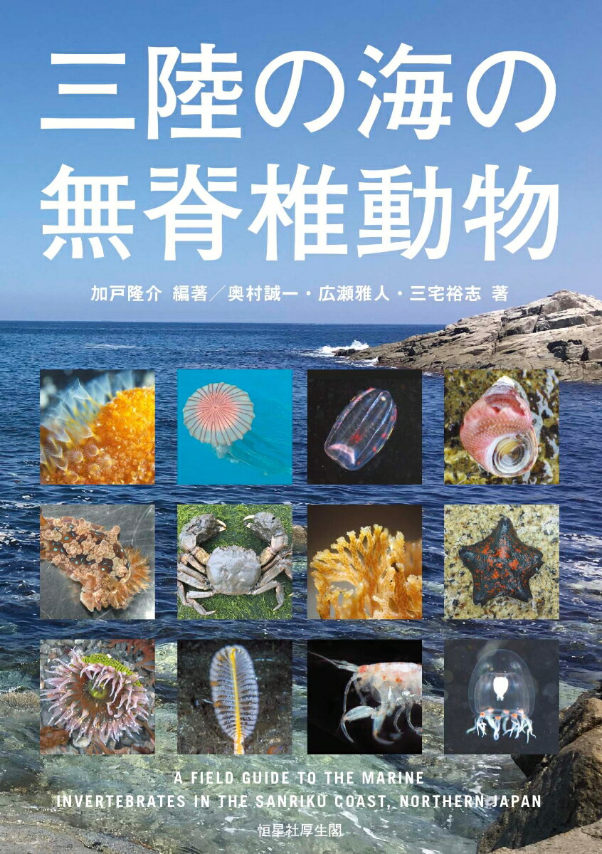 三陸の海の無脊椎動物 [ 加戸隆介 ]