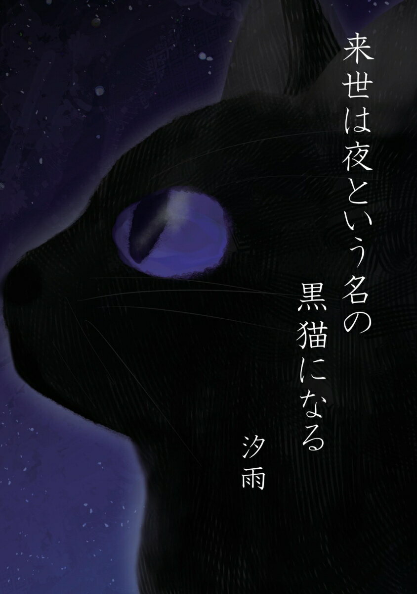 【POD】来世は夜という名の黒猫になる