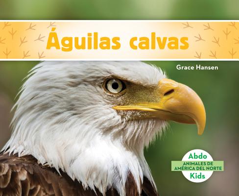 Aguilas Calvas (Bald Eagles)
