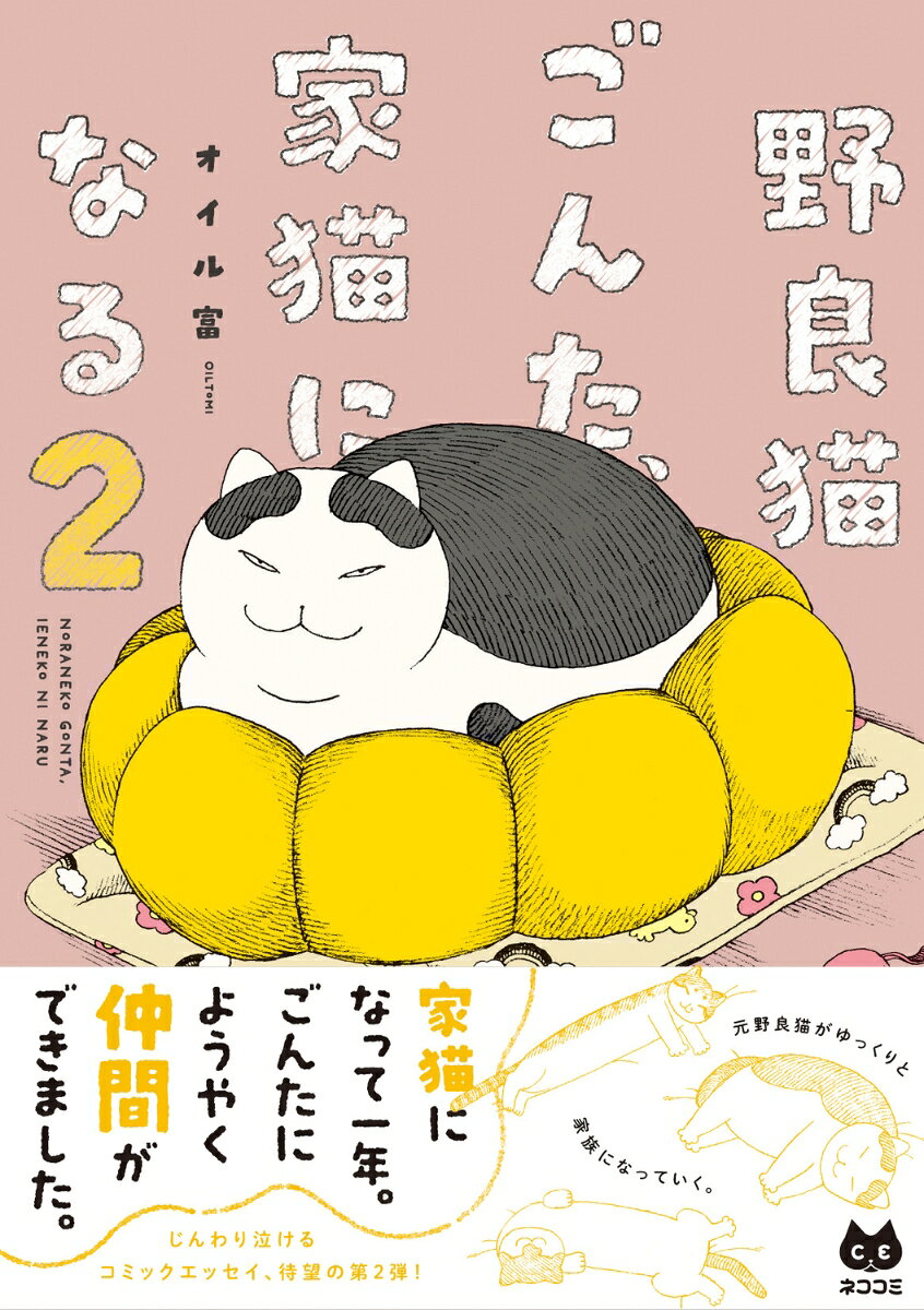 無愛想だけど人懐っこい野良猫ごんたがゆっくりと家族になっていく、じんわり泣けるコミックエッセイ待望の第2弾。

描き下ろしは大充実の60P以上!
巻末にはフルカラーの写真ページも収録しています。

お気に入りのクッションを揉んだり、家を探検し尽くして余裕の微笑みを浮かべたり。
家猫生活に慣れてきたごんたが、1年の時を経てようやく先住猫と対面してーー。

ぎくしゃくしながらも少しずつ家猫として打ち解けていくごんたに愛しさが止まらない…!

描き下ろしでは、「3匹が一緒に暮らし始めた日のエピソード」と、
「ごんたが再びいなくなってしまった日」の2話をそれぞれ30P以上の長編で収録しています。