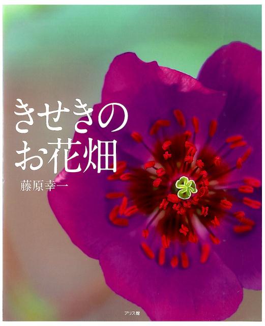 きせきのお花畑