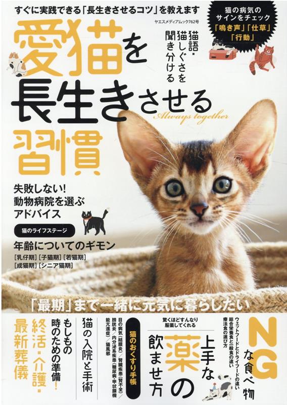 愛猫を長生きさせる習慣