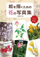 9784837306665 - 2024年花イラストの勉強に役立つ書籍・本まとめ