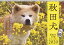 秋田犬(2020年1月始まりカレンダー) 1,430円