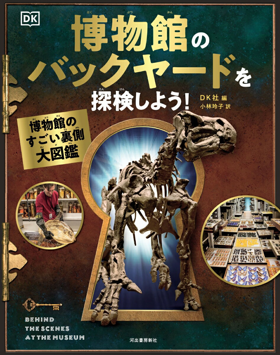 博物館のバックヤードを探検しよう！ 博物館のすごい裏側大図鑑 [ DK社 ]