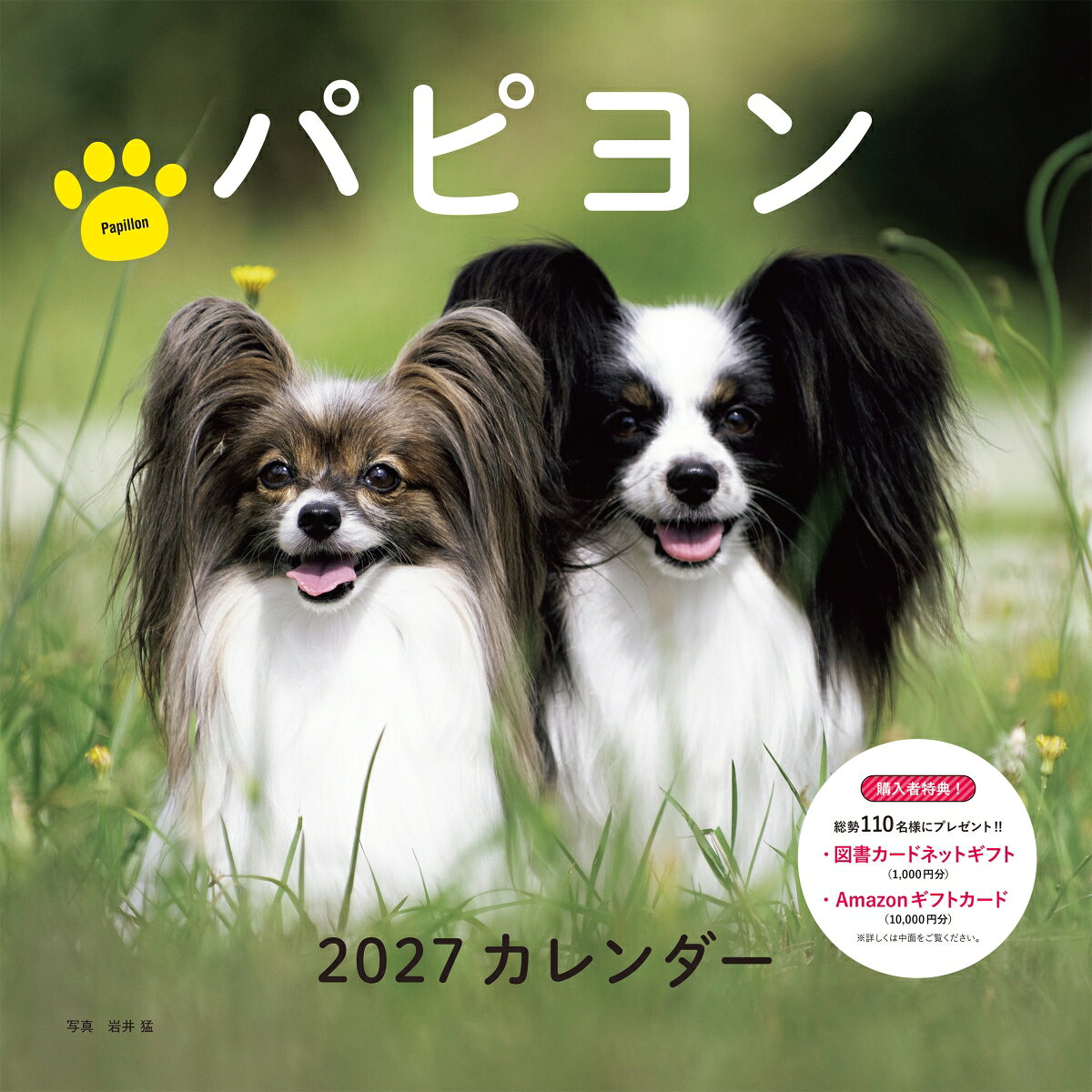 2027年カレンダー パピヨン 書影