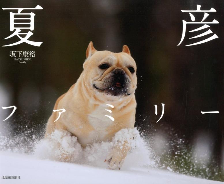 夏彦ファミリー