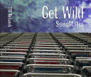 GET WILD SONG MAFIA [ TM NETWORK ]