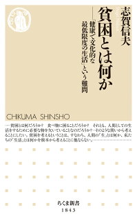 貧困とは何か 「健康で文化的な最低限度の生活」という難問の表紙