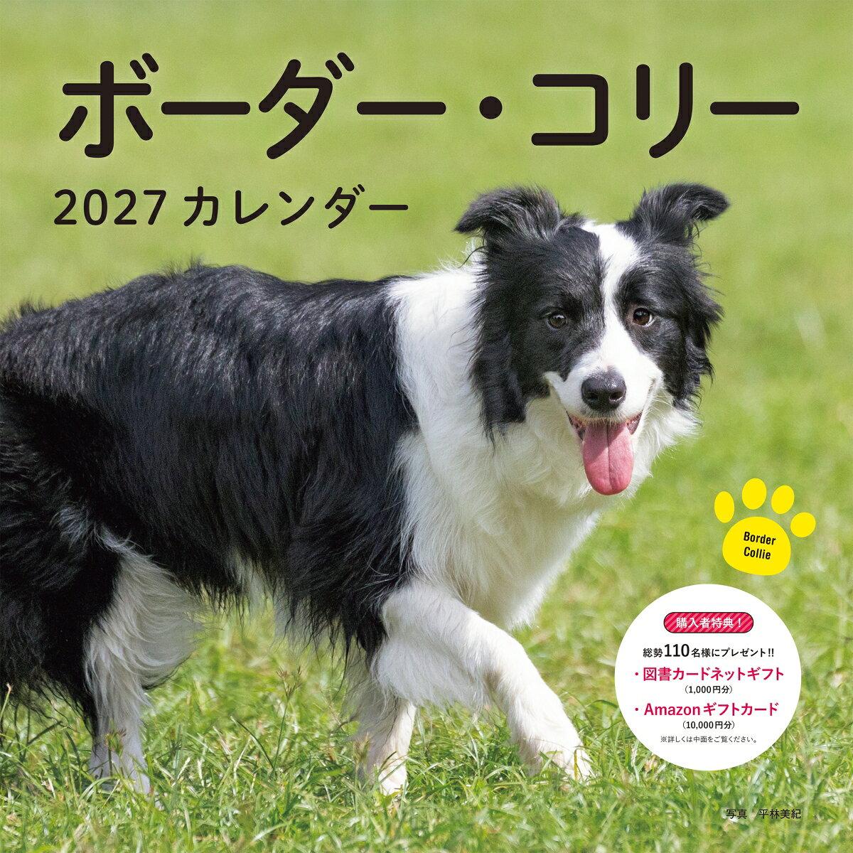 2027年カレンダー ボーダー・コリー 書影