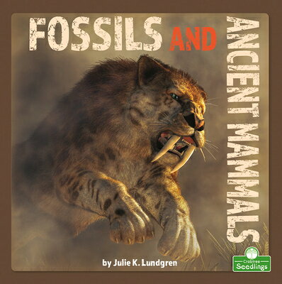 Fossils and Ancient Mammals FOSSILS & ANCIENT MAMMALS 