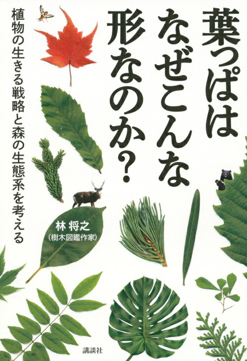葉っぱはなぜこんな形なのか？　植物の生きる戦略と森の生態系を考える [ 林 将之 ]のサムネイル