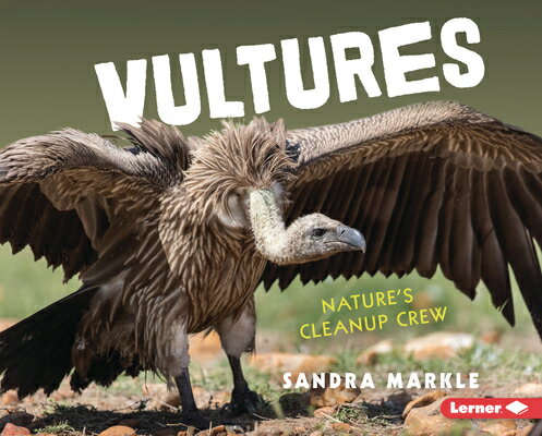 Vultures: Nature's Cleanup Crew VULTURES （Animal Scavengers in Action） 