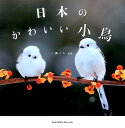 日本のかわいい小鳥 [ ♪鳥くん ]