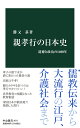 親孝行の日本史 道徳と政治の1400年 （中公新書　2671） 