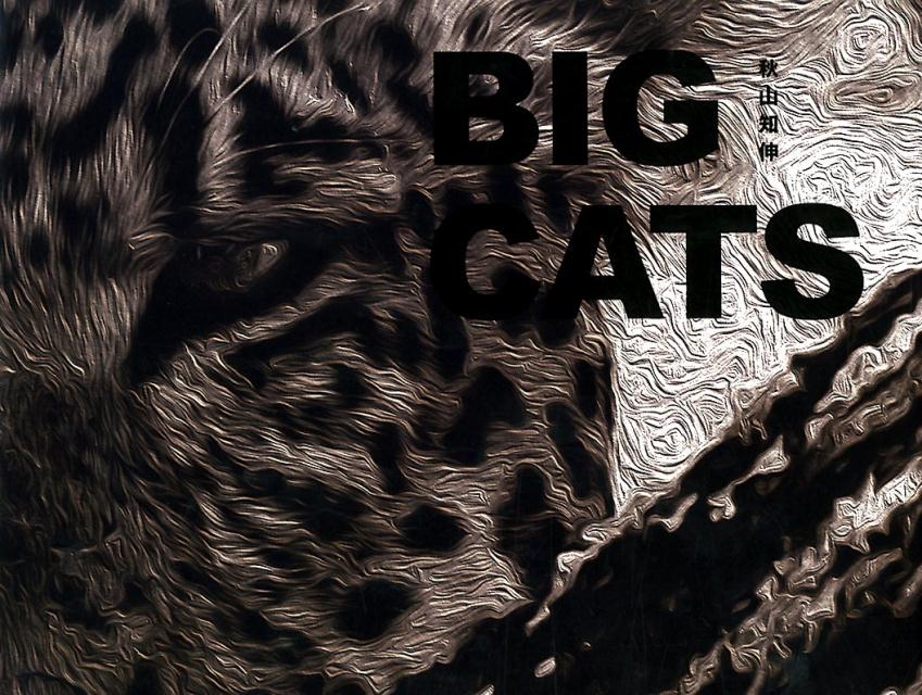 BIG　CATS