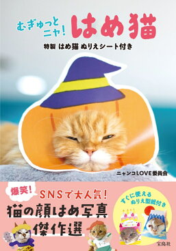 むぎゅっとニャ! はめ猫 特製はめ猫ぬりえシート付き [ ニャンコLOVE委員会 ]