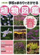 学校のまわりでさがせる植物図鑑（春）