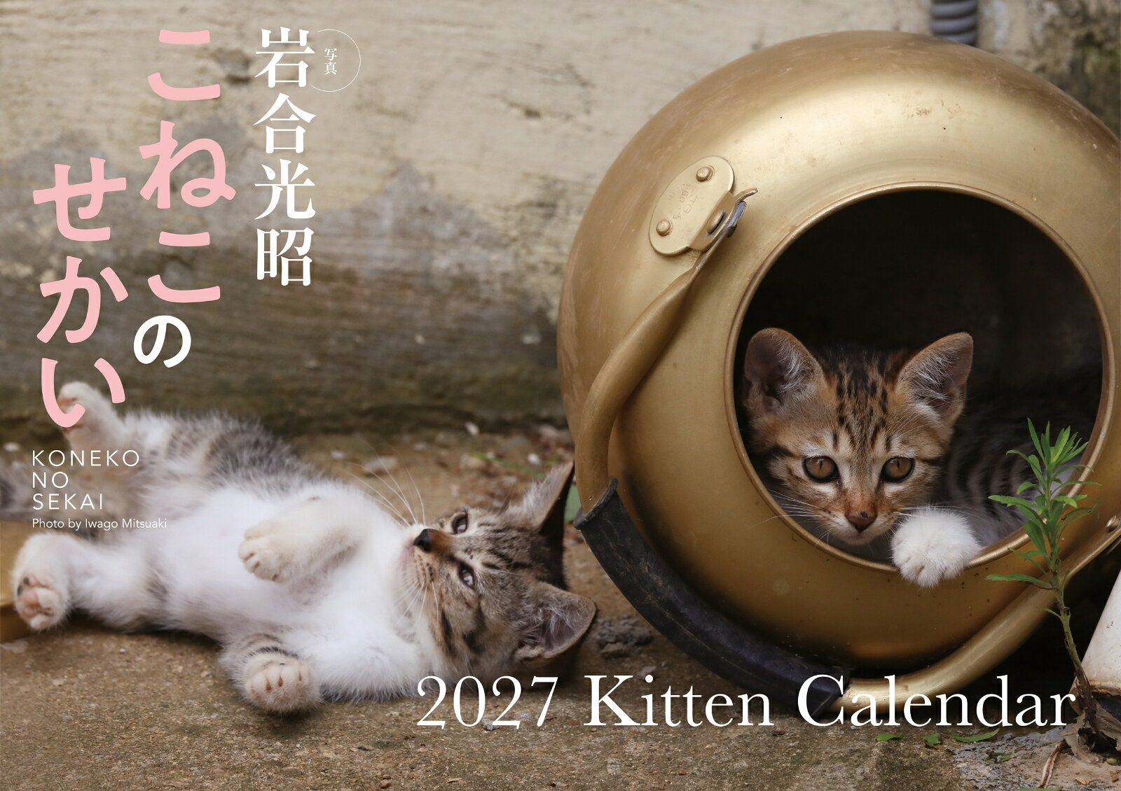 【S17】 こねこのせかい 2027 Kitten Calendar
