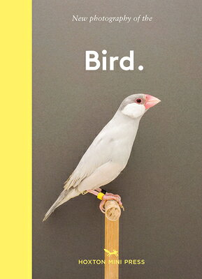 BIRD.THE BEST NEW PHOTOGRAPHS OF BIRDS(H [ HOXTON MINI PRESS ]