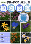 学校のまわりでさがせる植物図鑑（夏）