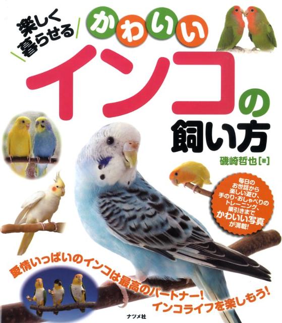 楽しく暮らせるかわいいインコの飼い方 [ 磯崎哲也 ]